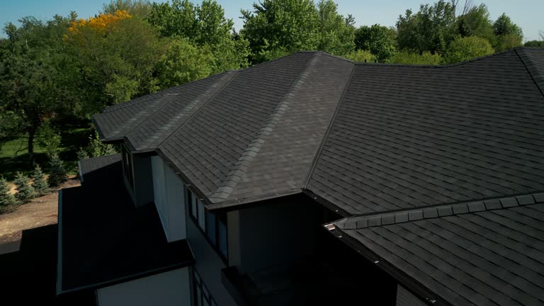 Best Chimney Flashing Repair  in Murrysville, PA